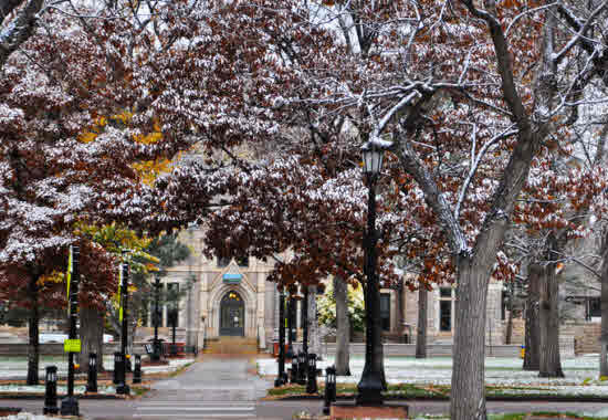 Colorado College