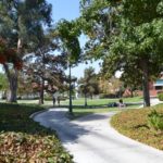 Pricing Strategies of Private Liberal Arts Colleges