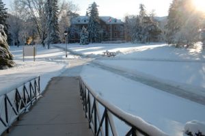 Albion College