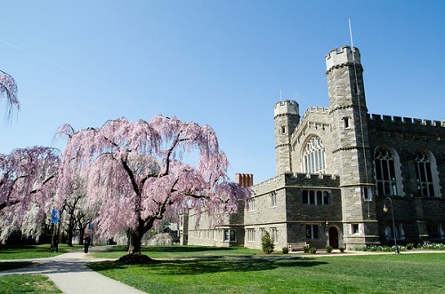 Bryn Mawr College Acceptance Rate