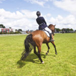 Top Colleges for Equestrians 